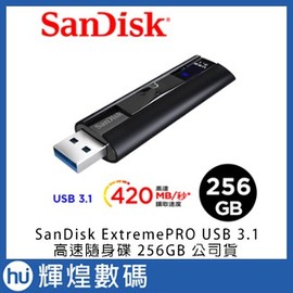SanDisk ExtremePRO USB 3.1 高速碟 隨身碟 SSD 256GB SDCZ880-256G