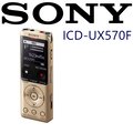 SONY ICD-UX570F 全新世代 自動語音 清晰解析 高音質 隨插即用 錄音筆 金色 台灣新力索尼保固一年