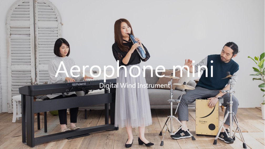 Roland Aerophone mini AE-01 小型數位電子吹管⠀ 民風樂府