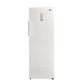 TECO 東元 240公升單門直立式風冷冷凍櫃 RL240SW