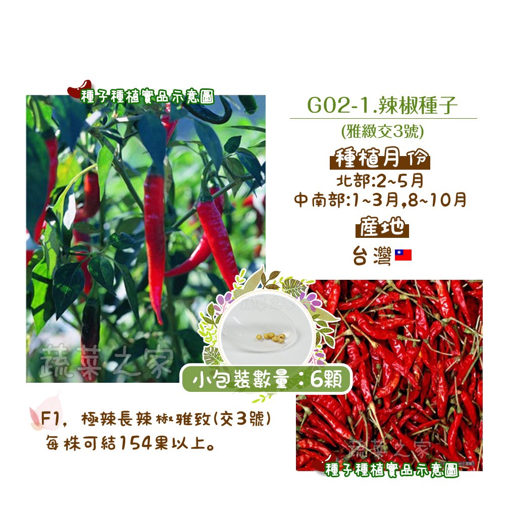 【蔬菜之家】G02-1.辣椒種子6顆(雅緻交3號)種子 園藝 園藝用品 園藝資材 園藝盆栽 園藝裝飾