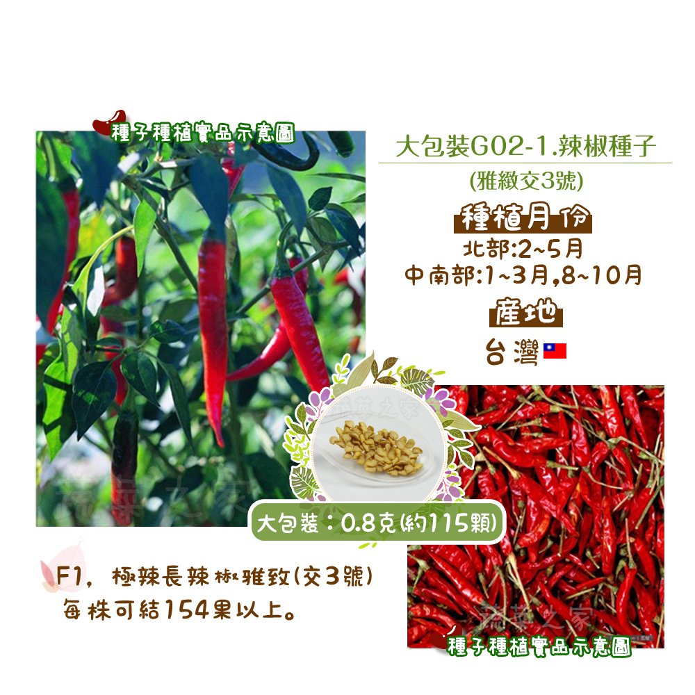 【蔬菜之家】大包裝G02-1.辣椒種子0.8克(約115顆)(雅緻交3號) 種子 園藝 園藝用品 園藝資材 園藝盆栽 園藝裝飾