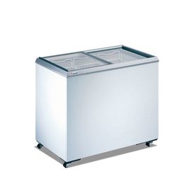 丹麥Caravell 玻璃對拉冷凍櫃【3尺4 冰櫃】型號：NI-335