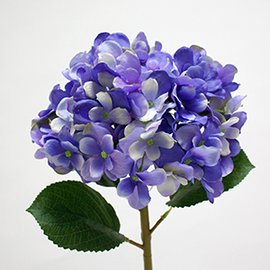 台灣造花 人造花 複瓣繡球 仿真花紫陽花假花居家佈置場景設計空間陳列廣告拍照攝影道具 Pchome商店街 台灣no 1 網路開店平台 台灣造花 人造花 複瓣繡球 仿真花紫陽花假花居家佈置場景設計空間陳列廣告拍照攝影道具 Pchome商店街 台灣no 1 網路開店平台
