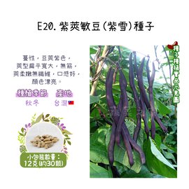【蔬菜之家】E20.紫莢敏豆(紫雪)種子12克(約30顆)種子 園藝 園藝用品 園藝資材 園藝盆栽 園藝裝飾