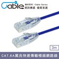 Cable CAT.6A萬兆快速傳輸極細網路線3m(RJ456-003)