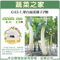 【蔬菜之家】G43-1.翠白絲瓜種子2顆 種子 園藝 園藝用品 園藝資材 園藝盆栽 園藝裝飾