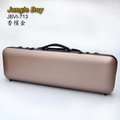亞洲樂器 小提琴盒 Jungle Boy JBVI-713 4/4 複合碳纖維、號碼鎖、譜袋、盒子、箱子、Case、香檳金