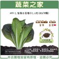 【蔬菜之家】A49-1.紫薇白菜種子1.6克(約670顆) 種子 園藝 園藝用品 園藝資材 園藝盆栽 園藝裝飾