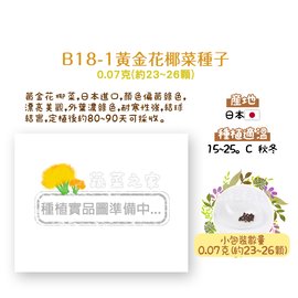 【蔬菜之家】B18-1.黃金花椰菜種子0.07克(約23~26顆) 種子 園藝 園藝用品 園藝資材 園藝盆栽 園藝裝飾