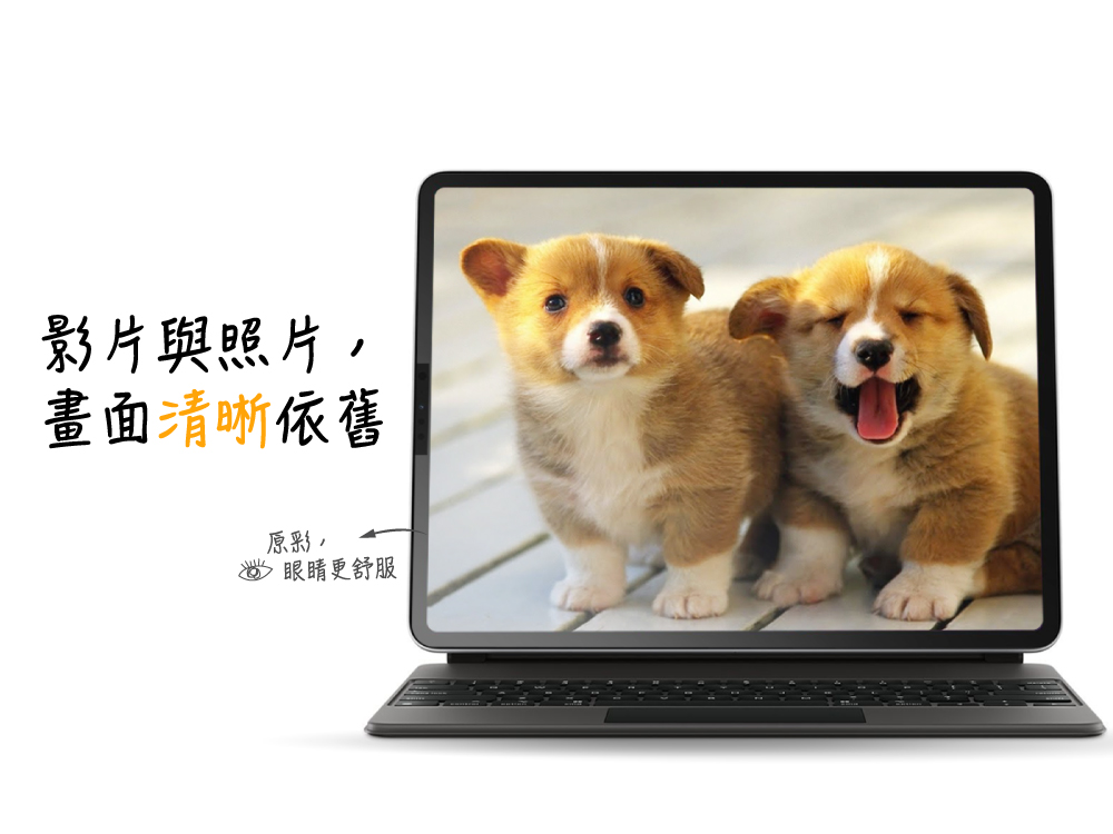 innowatt 磁吸式 PaperLike 2片裝 2020 iPad 8 (10.2 吋) 可拆式類紙膜