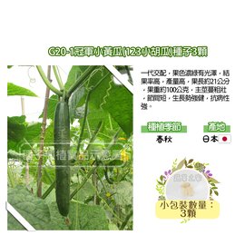 【蔬菜之家】G20-1冠軍小黃瓜(123小胡瓜)種子3顆
