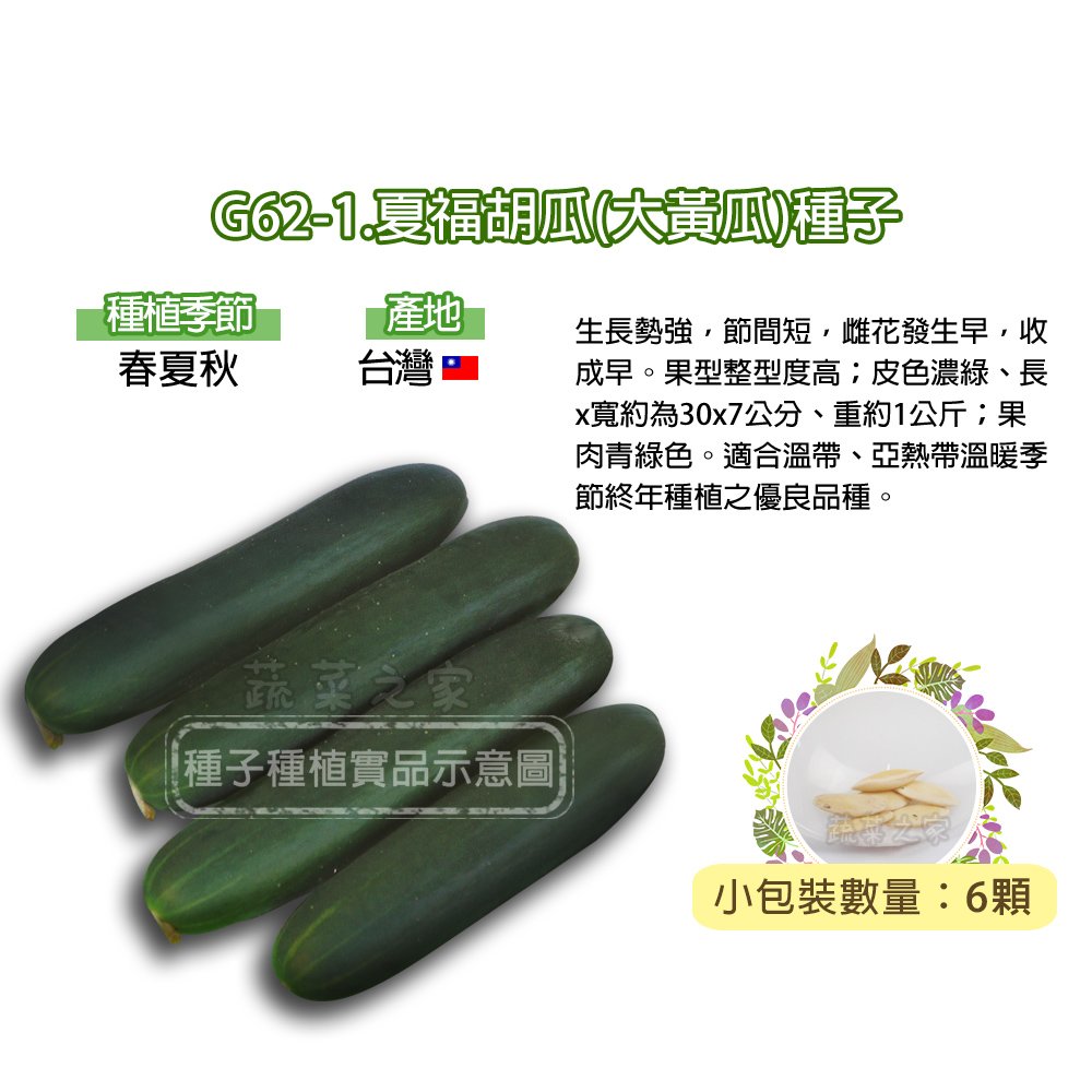 【蔬菜之家】G62-1.夏福胡瓜(大黃瓜)種子6顆 種子 園藝 園藝用品 園藝資材 園藝盆栽 園藝裝飾