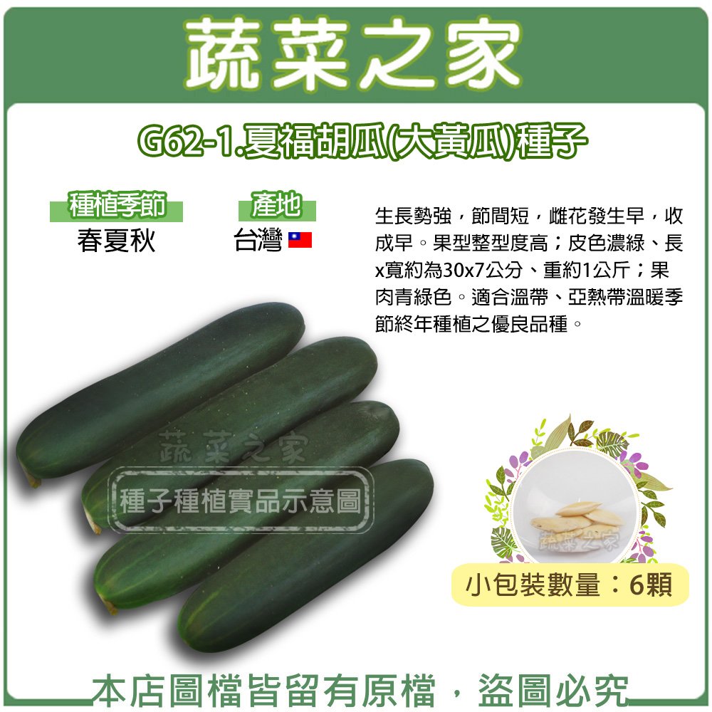 【蔬菜之家】G62-1.夏福胡瓜(大黃瓜)種子6顆 種子 園藝 園藝用品 園藝資材 園藝盆栽 園藝裝飾