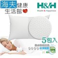 【海夫健康生活館】南良 H&amp;H 3D 防水 防螨 透氣 保潔枕套 白色格紋(2入x5包裝)