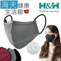 【海夫健康生活館】南良 H&amp;H 奈米鋅 抗菌 口罩 灰色(1入x5包裝)