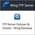 Wing Gateway - v1.0 (includes lifetime upgrade protection) 單機下載版(含永久免費更新)