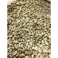 【三山咖啡】印尼亞齊塔瓦湖 野生麝香貓咖啡生豆 500g/包