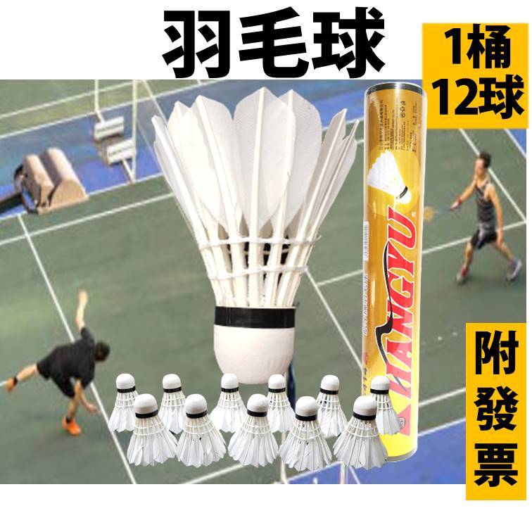 羽毛球 羽球 練習用羽毛球 泡球頭 鴨毛球 批發 一桶12顆 比賽用羽球 badminton