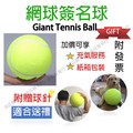 國際標準9.5吋(含充氣) 簽名大網球 網球簽名球 大型網球 超大網球 簽名專用球寵物狗玩具 24cm Giant Tennis