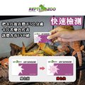 【 ac 草影】 repti zoo uvb 紫外線測試卡 【兩張】 byb 01060