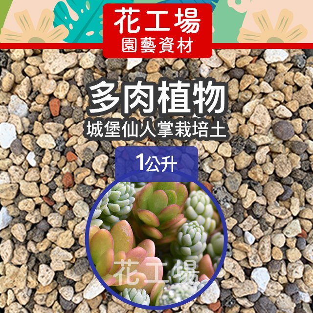 全店450免運 城堡仙人掌多肉植物栽培土 1公升 多肉植物土多肉植物介質多肉植物專用培養土熊童子 花工場園藝資材 Pchome 商店街