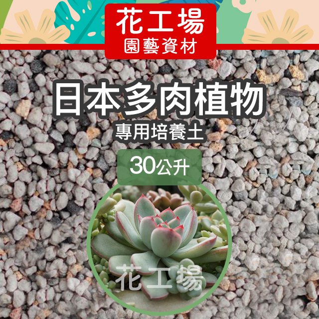 全店450免運 日本多肉植物專用培養土 粒狀輕質 30公升原裝多肉植物土多肉植物介質熊童子 花工場園藝資材 Pchome商店街 台灣no 1 網路開店平台 全店450免運 日本多肉植物專用培養土 粒狀輕質 30公升原裝多肉植物土多肉植物介質熊童子 花工場園藝資材 Pchome商店街 台灣no 1 網路開店平台