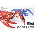 FUJIMI 生物編 美國螯蝦 透明色 富士美 自由研究24EX3 組裝模型