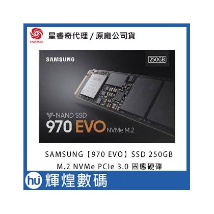 SAMSUNG SSD 250GB 970 PRO【MZ-V7E250BW】M.2 PCIe 3.0 NVMe 固態硬碟