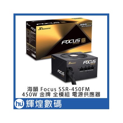 Seasonic 海韻 SSR-450FM Focus Gold 450W 金牌 全模組 電源供應器