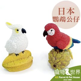 缺《寵物鳥世界》日本鸚鵡公仔-釋迦金剛/楊桃巴丹 | 擺飾 鳥週邊 鳥公仔 鸚鵡 仿真擺飾 BY077 BY078