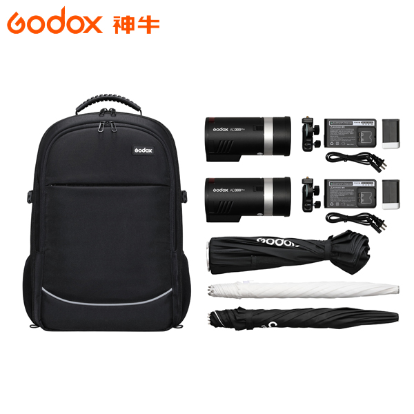 EGE 一番購】GODOX【AD300Pro X2 Kit雙燈套裝組】外拍攜帶型棚燈專業