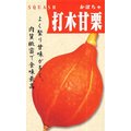 【蔬菜種子】打木赤皮甘栗南瓜~ 濃郁的甜味、肉質緻密、是栗子型，約1.7kg重，外觀漂亮。