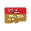 SanDisk Extreme Micro SD 256G V30 U3 A2 記憶卡-RM517