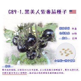 【蔬菜之家】G89-1.黑美人紫番茄種子10顆 種子 園藝 園藝用品 園藝資材 園藝盆栽 園藝裝飾