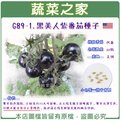 【蔬菜之家】G89-1.黑美人紫番茄種子10顆 種子 園藝 園藝用品 園藝資材 園藝盆栽 園藝裝飾