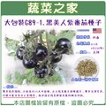 【蔬菜之家】大包裝G89-1.黑美人紫番茄種子0.5克(約220顆) 種子 園藝 園藝用品 園藝資材 園藝盆栽 園藝裝飾