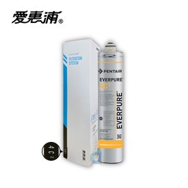 台灣愛惠浦PENTAIR EVERPURE 4C2 高效能系列 大處理量 原廠公司貨盒裝濾芯