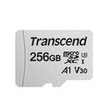 Transcend 創見 300S 256G microSDXC C10 UHS-I U1 記憶卡(TS300S-256G) 保固公司貨