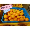 【茂谷25斤】東勢明正里茂谷23A-東勢橘子