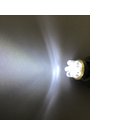LED T10mm Wedge 12V 6LED DPI 增亮&gt;30% 白光 室內燈 閱讀燈 後廂燈 牌照燈 門邊燈 haoanlights 浩安燈泡 STD