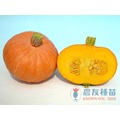 《農友種苗》精選蔬果種子 HV-181粉南瓜(春娘)
