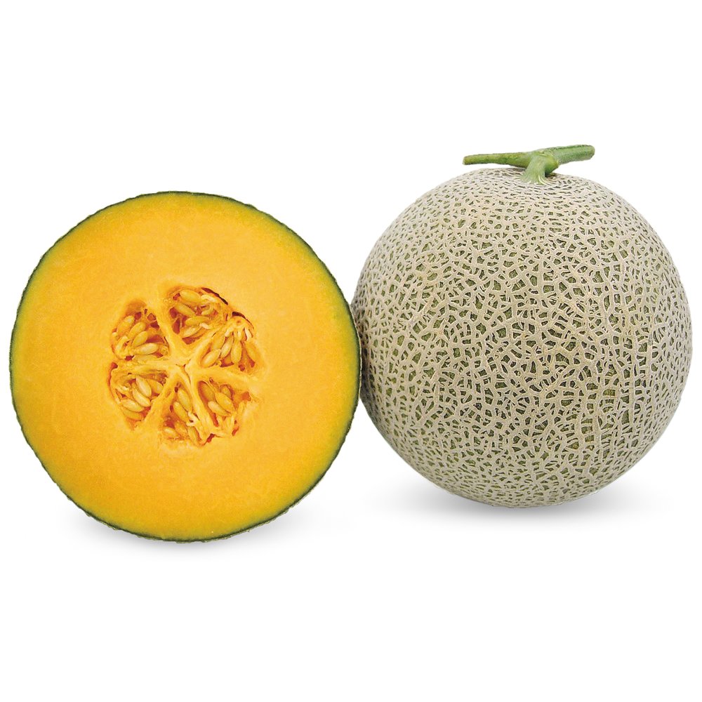 《農友種苗》精選蔬果種子 HV-288高級洋香瓜(天華)