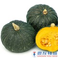 《農友種苗》精選蔬果種子 HV-351黑栗南瓜(F-2109)