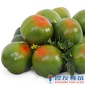 《農友種苗》精選蔬果種子 HV-373黑柿番茄(綠鑽石)