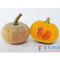 《農友種苗》精選蔬果種子 HV-266圓南瓜(三姑)