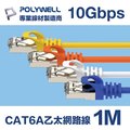 POLYWELL CAT6A 高速乙太網路線 S/FTP 10Gbps 1M