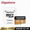 Gigastone Data Recovery 256GB microSDXC UHS-I A2 U3 資料救援記憶卡(Game Turbo高速卡)