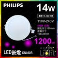 晴漾光美學 Philips 飛利浦 LED嵌燈崁燈 DN030B 4000K 自然光 白光