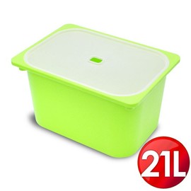 WallyFun 屋麗坊 亮彩儲物收納盒21L (綠)